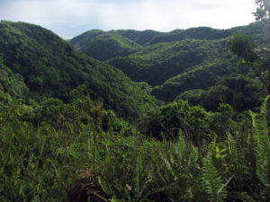 The Centre Hills Protected Area
