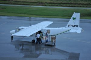 Mountain chickens being unloaded on Montserrat