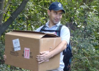3, 2, 1, MOUNTAIN CHICKENS ARE GO! Frogs being carried into the forest for release