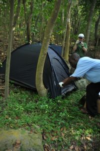 Tents used for a 'soft release'