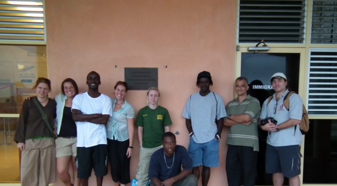 MONTSERRAT’S MOUNTAIN CHICKENS RETURN The team await mountain chickens and Javier