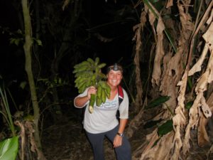 Banana_hunting Forest bananas being collected