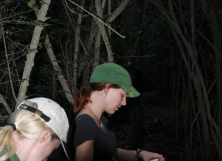 TRAINING, TRACKING, MAPPING Searching for 'lost' frogs