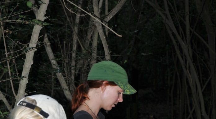 TRAINING, TRACKING, MAPPING Searching for 'lost' frogs