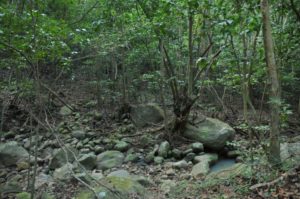 Hidden pool in the dry ghaut