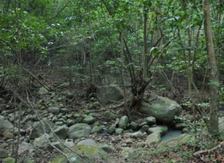 GHAUT FEELINGS Hidden pool in the dry ghaut