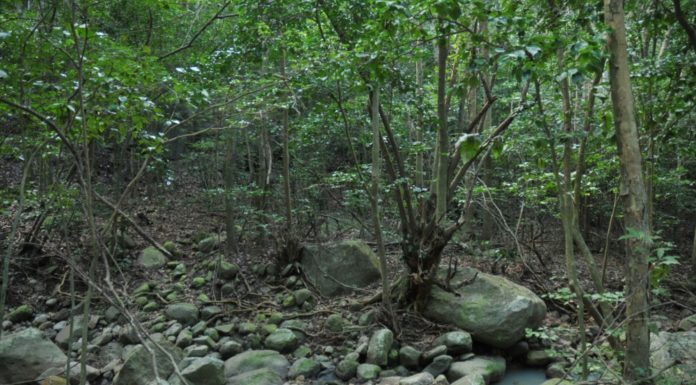GHAUT FEELINGS Hidden pool in the dry ghaut