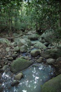 Water pools in the release ghaut