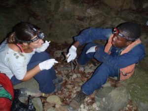 Forestry staff help with mountain chicken swabbing