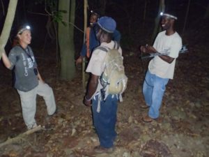 Forestry guys Forestry staff help search for mountain chickens