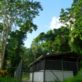 Purpose built facilities for keeping mountain chickens, Roseau, Dominica