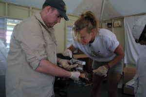 Jenny and Ben checking and swabbing the frogs ready for release