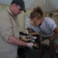 Jenny and Ben checking and swabbing the frogs ready for release