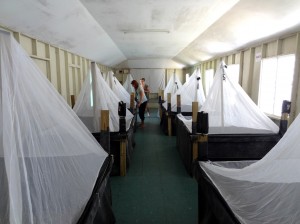 Holding facilties for mountain chickens awaiting release