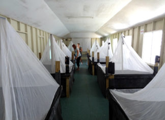 The frogs are back in town!!