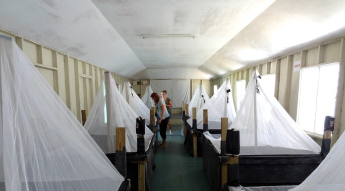 The frogs are back in town!!