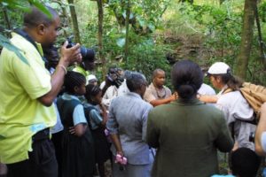 Montserrat media covering release of mountain chickens
