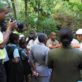 Montserrat media covering release of mountain chickens