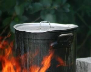 Celebrating the return of the mountain chickens