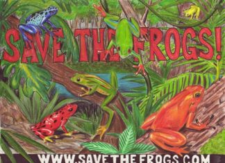 Save the Frogs Day
