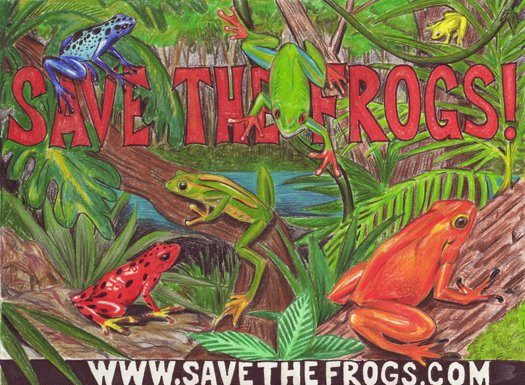 Save the Frogs Day