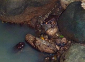 The mysterious disappearing of 120, part II