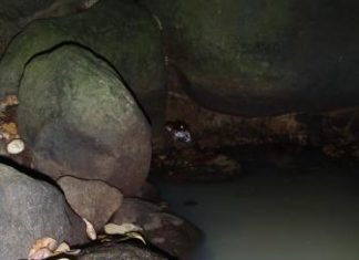 The Mysterious Disappearing of 120