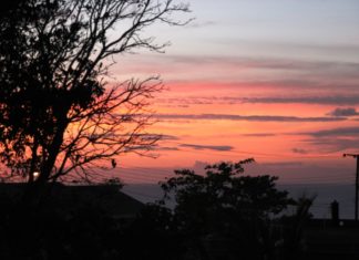 Final goodbye word from the volunteers!