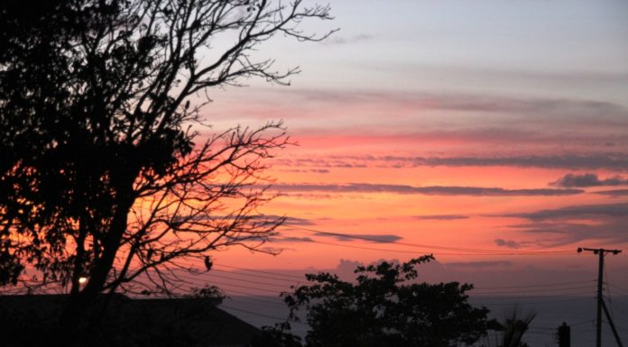 Final goodbye word from the volunteers!