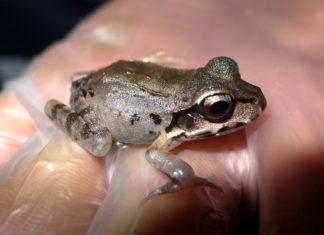 Together we’re stronger!