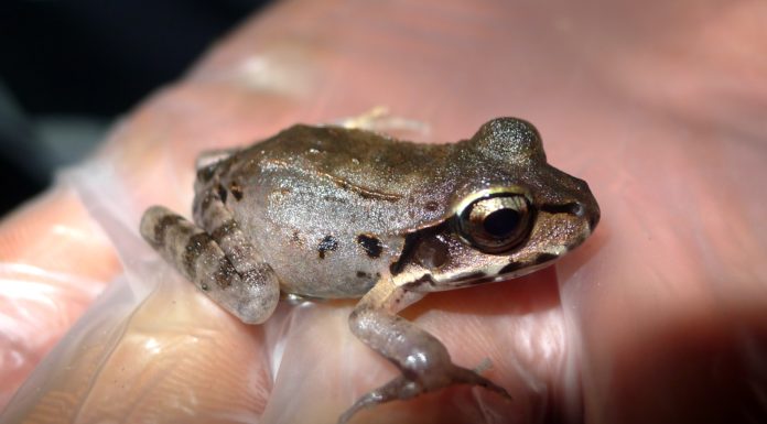 Together we’re stronger!