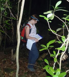 Emma looking for mountain chickens ©Sarah-Louise Adams