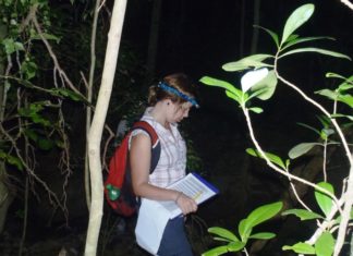 Learning to radio-track