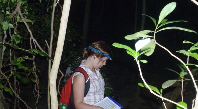 Learning to radio-track