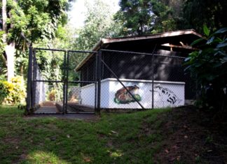 Greetings from Dominica