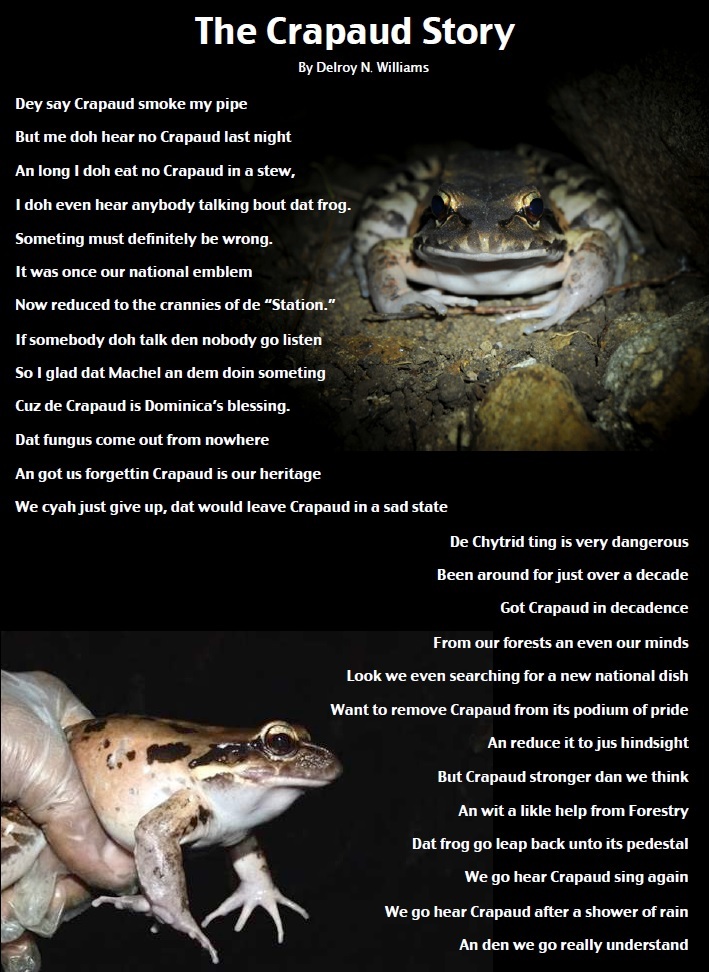 Crapaud Poem by Delroy N. Williams