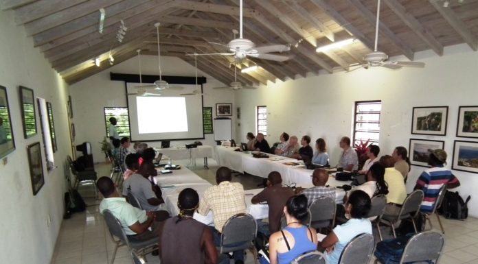 Mountain Chicken Recovery Plan workshop –Day 1