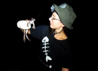 New Chicken on the Team!