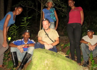 Treefrog nights!