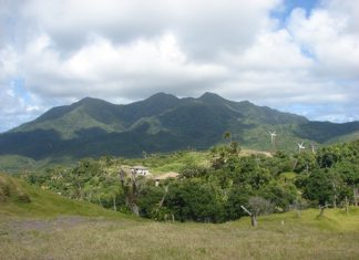 Montserrat mountain chicken translocation blog part 3