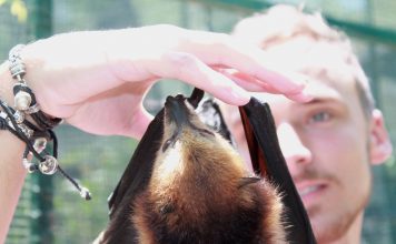 New member of the team: Luke Jones, Research Assistant.