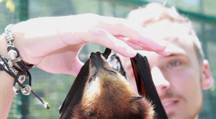 New member of the team: Luke Jones, Research Assistant.