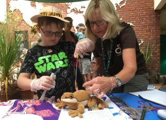 Mountain Chicken Week Update & Frog Friends Event at Jersey Zoo