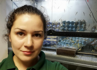 Get to know Cheska our “Mountain Chicken Queen”!