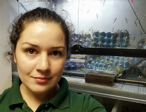 Get to know Cheska our “Mountain Chicken Queen”!