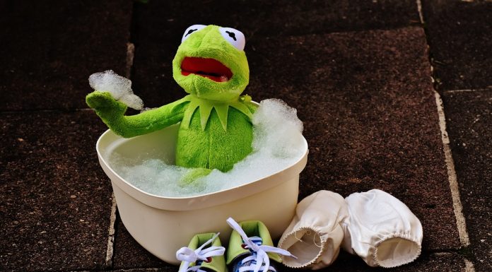 It’s getting hot hot hot!  Controlling the chytrid fungus.