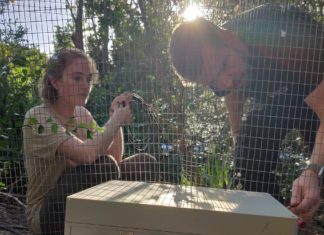 Introducing Rachel our newest member of the team.