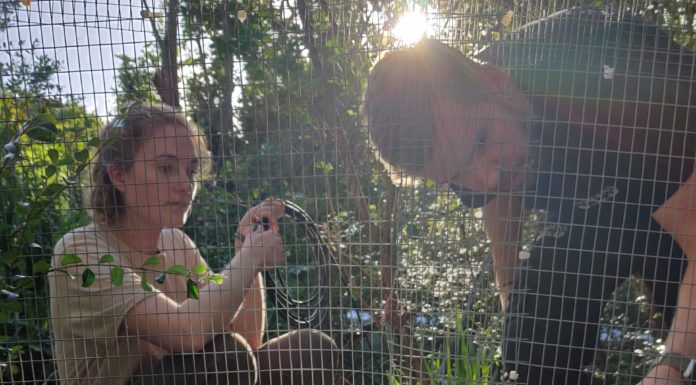 Introducing Rachel our newest member of the team.