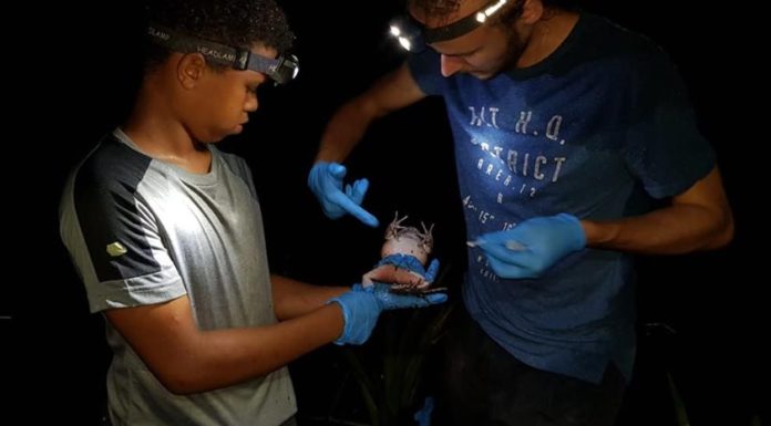 Recruiting Project Officers to join the team!