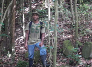 Introducing Tavis: DoE Environment Worker